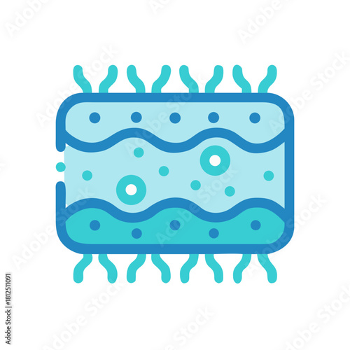 Abstract illustration of rectangular cell with surface structures and internal elements