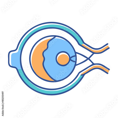 Anatomical eye diagram featuring detailed structures, optic nerve, and surrounding protective layers