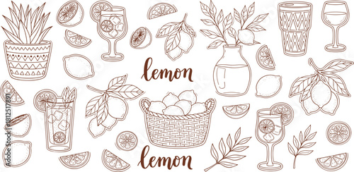 Hand-drawn illustrations of lemons, lemonades, and potted plants, offering a fresh and vibrant collection of botanical and beverage elements