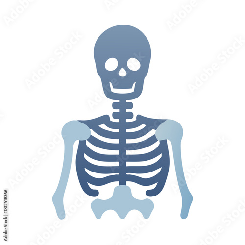 Stylized anatomical illustration of an upper body skeleton in shades of blue on black