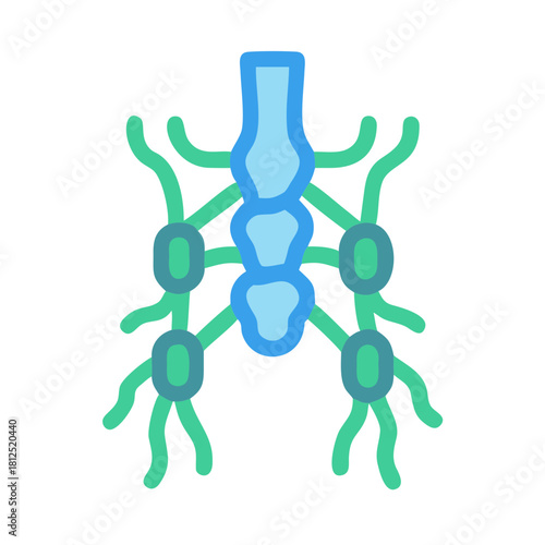 Simple vector diagram showing lymph nodes and vessels on a black background