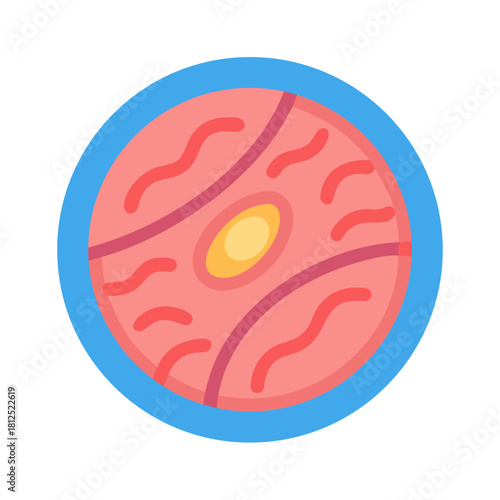 Flat illustration of eukaryotic cell with nucleus and plasma membrane structure