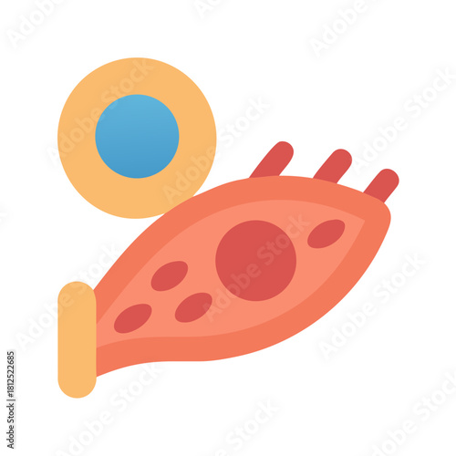 Stylized flat vector diagram of skeletal muscle tissue and stem cell on black background