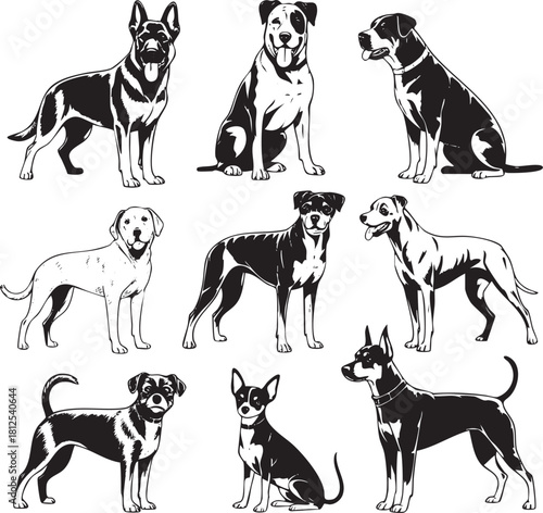 Illustrative dog breeds in black and white vector image collection