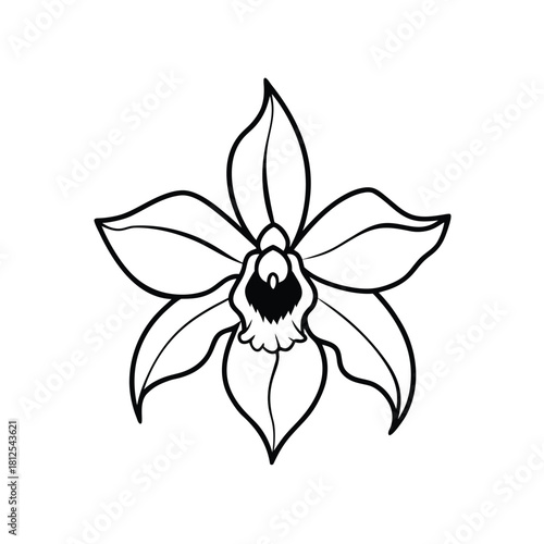 Elegant black and white orchid flower line art