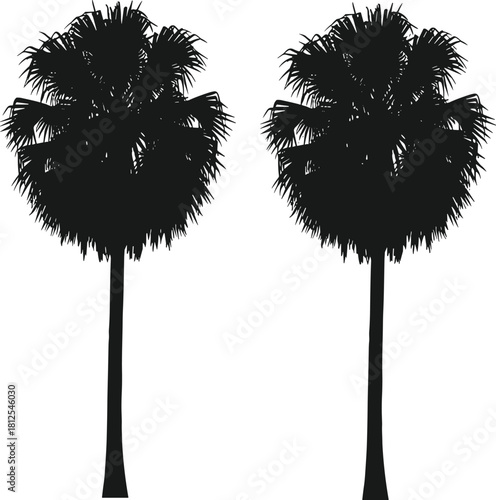 Palm tree pair silhouette, tropical tree icons, beach foliage shapes, summer nature elements, black vector trees, flat vector illustration