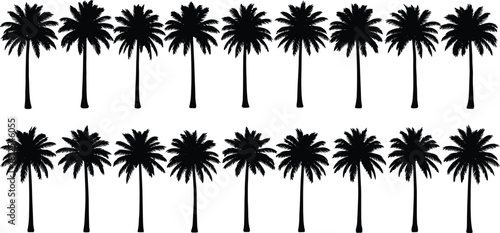 Palm tree silhouettes, tropical tree icons, beach foliage shapes, summer nature elements, black vector trees, flat vector illustration