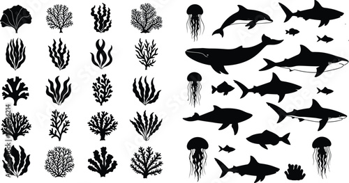 Marine life silhouettes, seaweed and coral icons, ocean biodiversity shapes, underwater animal graphics, black vector elements, flat vector illustration