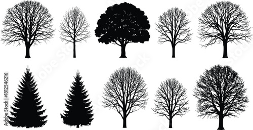 Tree silhouette collection, deciduous and coniferous icons, seasonal branch shapes, black vector trees, nature graphic elements, flat vector illustration