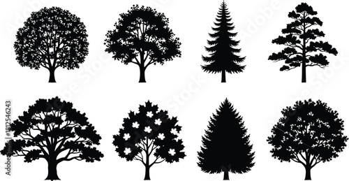 Tree silhouette set, mixed tree shapes, deciduous and evergreen icons, botanical elements, forest graphics, black vector trees, flat vector illustration