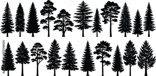 Tree species silhouettes, coniferous and deciduous icons, foliage and branch shapes, black vector trees, nature design elements, flat vector illustration