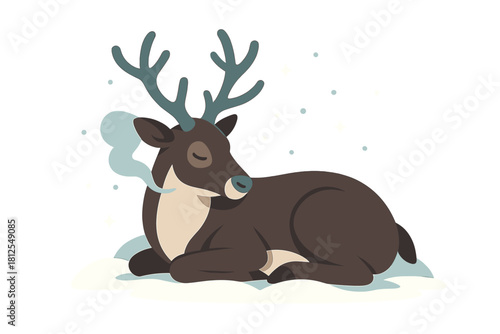 Reindeer in Snow. Reindeer resting in snow. Curled slightly, the reindeer warms the frosty air with gentle