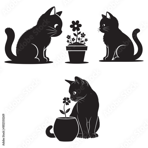Three black cat silhouettes interacting with potted flowers kitten feline