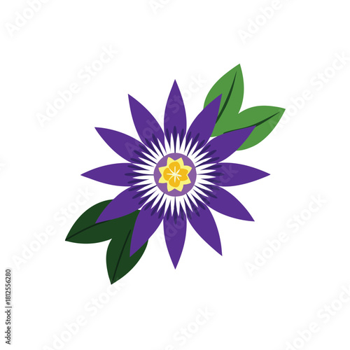 Vibrant purple passion flower with green leaves illustration