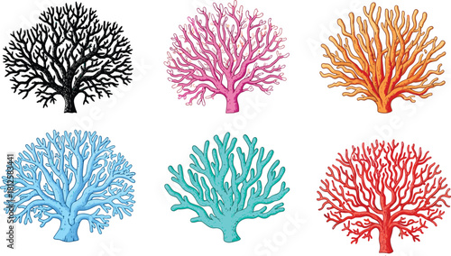 Colorful coral illustration set, marine sea corals, underwater reef elements, ocean flora collection, detailed hand-drawn aquatic nature vector design