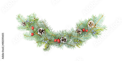 Holiday wave garland made of fir branches, cone, berries isolated on a white background. Christmas design element. 