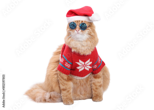 PNG studio portrait of a ginger cat wearing a Santa hat and knitted Christmas sweater on white background, adorable festive pet concept for holiday marketing, social media, greeting cards, and winter 