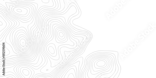 Abstract topography pattern seamless lines sea map modern design white background. Abstract digital topographic contour map concept space geometric strip grid line. Natural discovery of maps.	