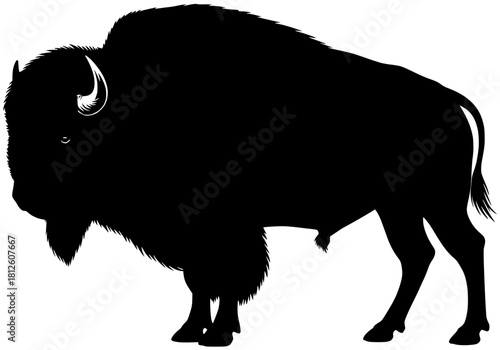 Silhouette of a Powerful Bison A Majestic Icon of the American West