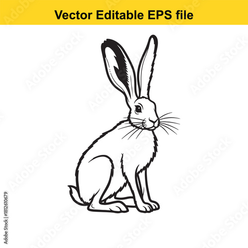 Black and white line drawing of a sitting hare isolated on