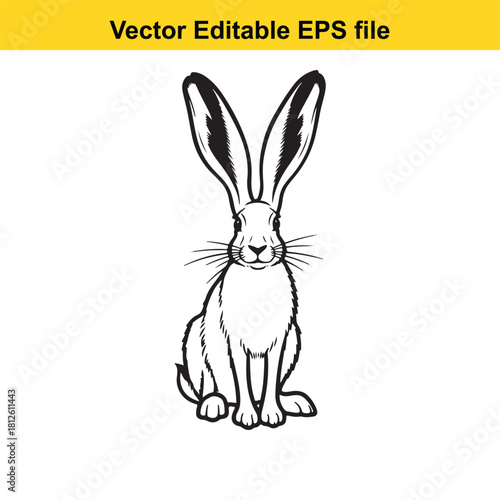 Black and white line art drawing of a sitting hare isolated on