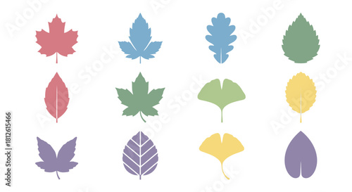 Collection of Colorful Autumn Leaves in Various Shapes and Hues.