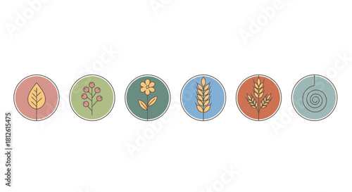 Set of six colorful round icons representing various natural elements and agricultural products.