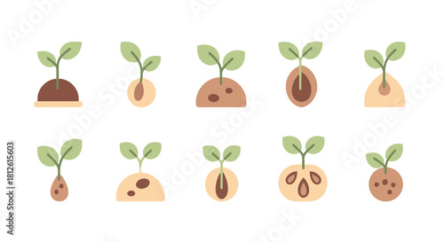 Set of ten illustrations depicting the growth stages of a plant from seed to sprout.