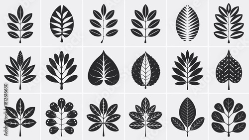 Collection of various leaf shapes and patterns in black and white design style