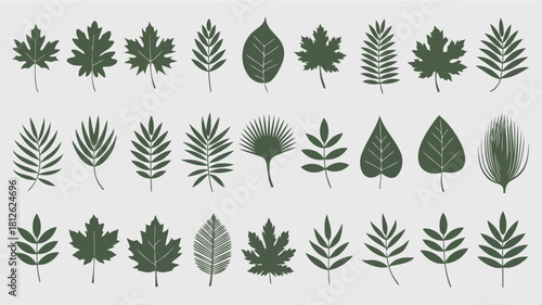 Collection of various leaf shapes and patterns in black and white line art style