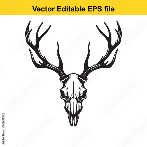 Vector illustration of a deer skull with large antlers isolated on