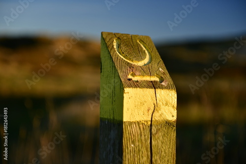Fototapeta Naklejka Na Ścianę i Meble -  Bridle path, Jersey, U.K. Equestrian way through the dunes in Autumn.