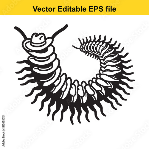Black and white vector illustration of a centipede wearing a cowboy hat