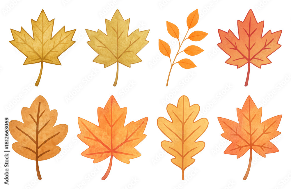 Fototapeta premium PNG Colorful autumn leaves illustration, element set on transparent background