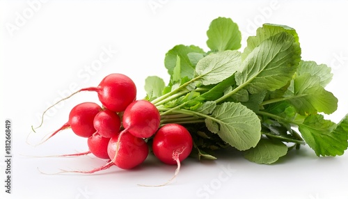 Whole Radish Bunch With Leaves Isolated On White Background Fresh Organic Vegetable Farm Healthy Culinary Ingredient Design