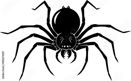 A black spider with many legs is isolated on white background

