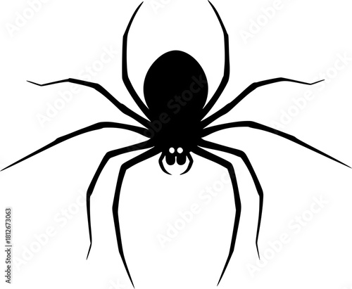 A black spider with many legs is isolated on white background
