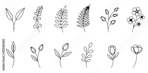 Elegant floral doodles for your creative projects, a timeless botanical collection to inspire you