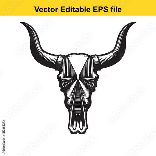 Engraved bull skull with large horns isolated on