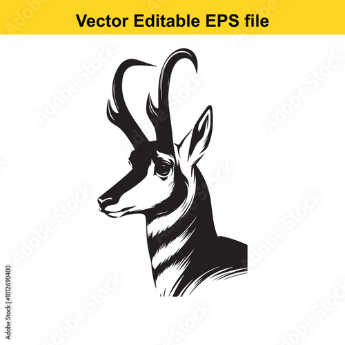 Pronghorn antelope head portrait black and white vector
