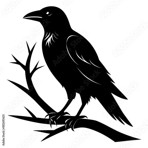 Stylized silhouette of a black crow perched on a bare branch, its sharp beak and claws visible against white. isolated on white background, Vector, illustration