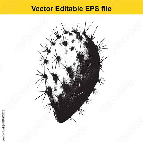 Black and white prickly pear cactus pad illustration