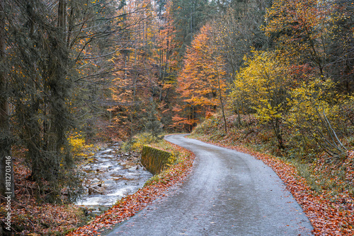 Fototapeta Naklejka Na Ścianę i Meble -  a winding road running through the Vistula valley on the slopes of Barania Góra