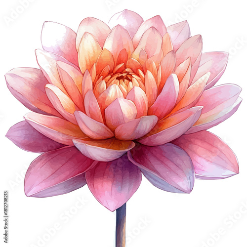 A Dahlia Stem Bouquet, watercolor painting vector, isolated on a white background.