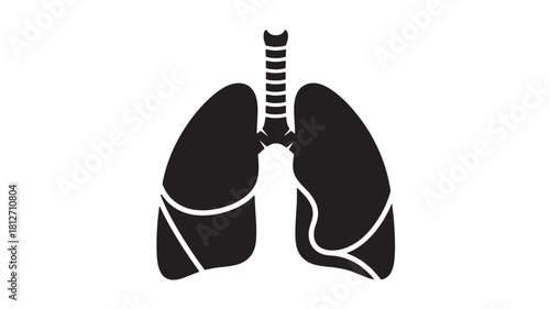 Human lungs vector icon simple glyph illustration for medical and healthcare design isolated on white background