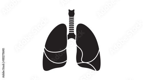 Lungs glyph icon simple flat vector illustration of human respiratory system isolated on white background
