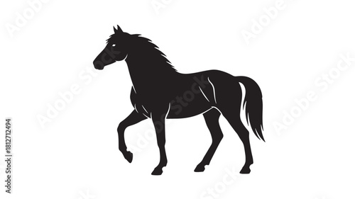 Elegant horse silhouette vector illustration of a black stallion isolated on white background