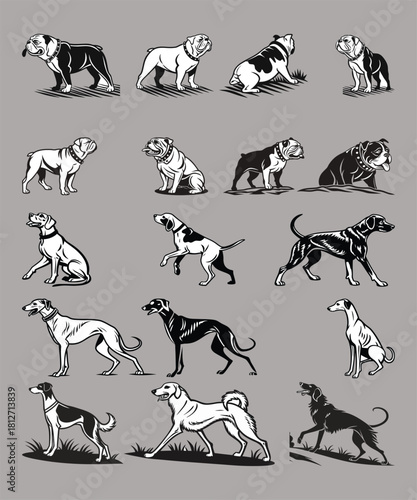Diverse Dog Breeds Vector Collection