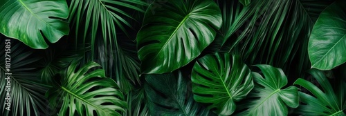 Wallpaper Mural Lush Tropical Forest Paradise Mesmerizing Green Leaves, Elegant Palm Fronds, and Nature s Beauty Torontodigital.ca