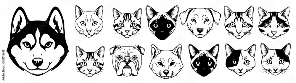 Obraz premium Adorable pet portraits showcasing dog and cat breeds for pet lovers and animal enthusiasts